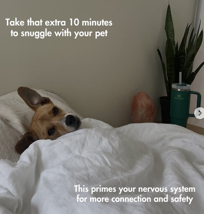 NarcissistBox's tweet image. #nervoussystem #dsyregulation