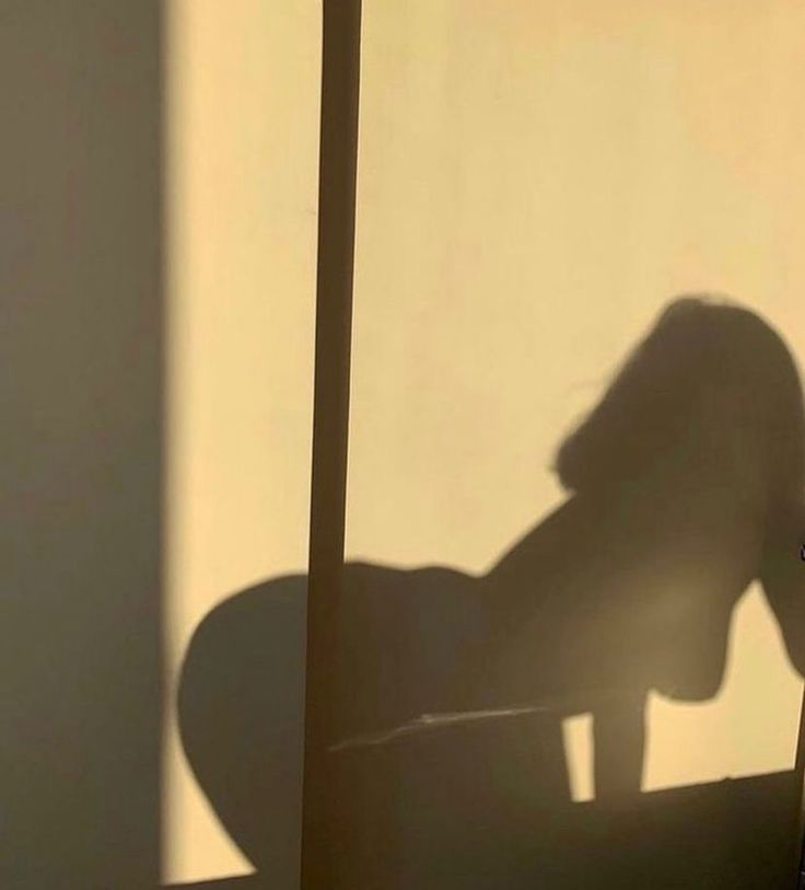 บีม ฯ. tweet media