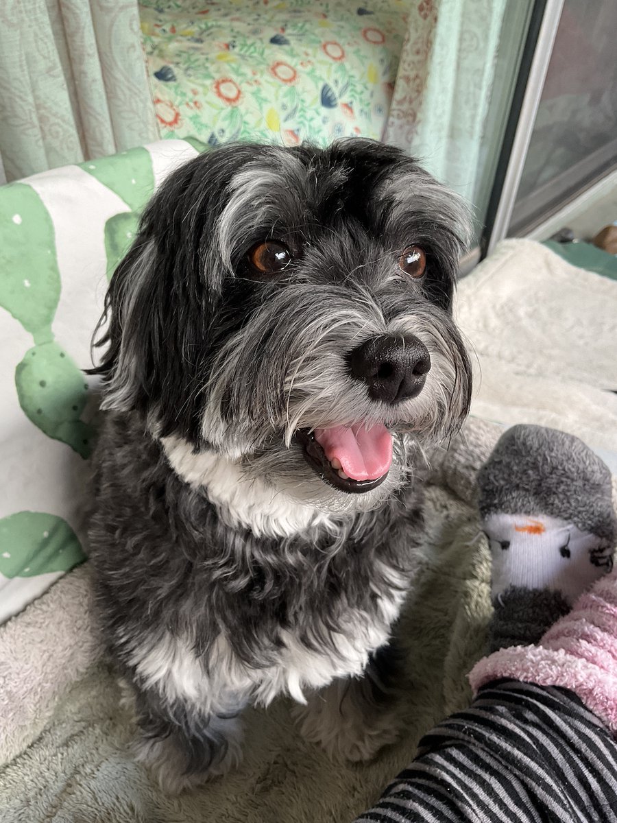 Jacky 🌞 tweet media