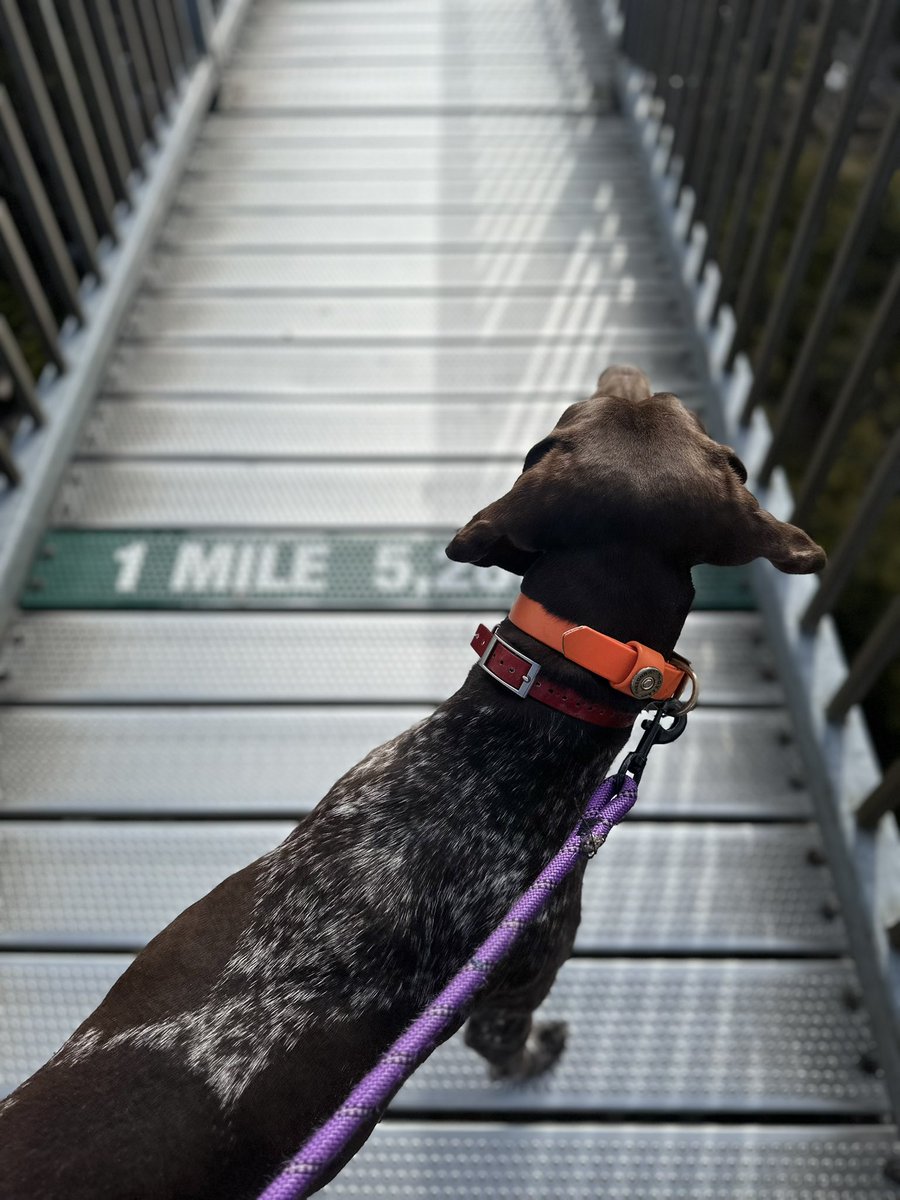 weoutchearatnao tweet media