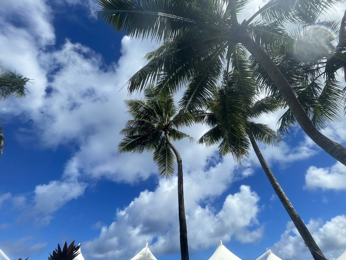 Key(ケイ)@投資大喜利おじさん tweet media