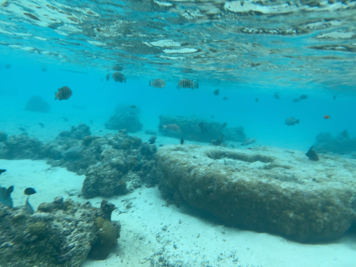 Key(ケイ)@投資大喜利おじさん tweet media