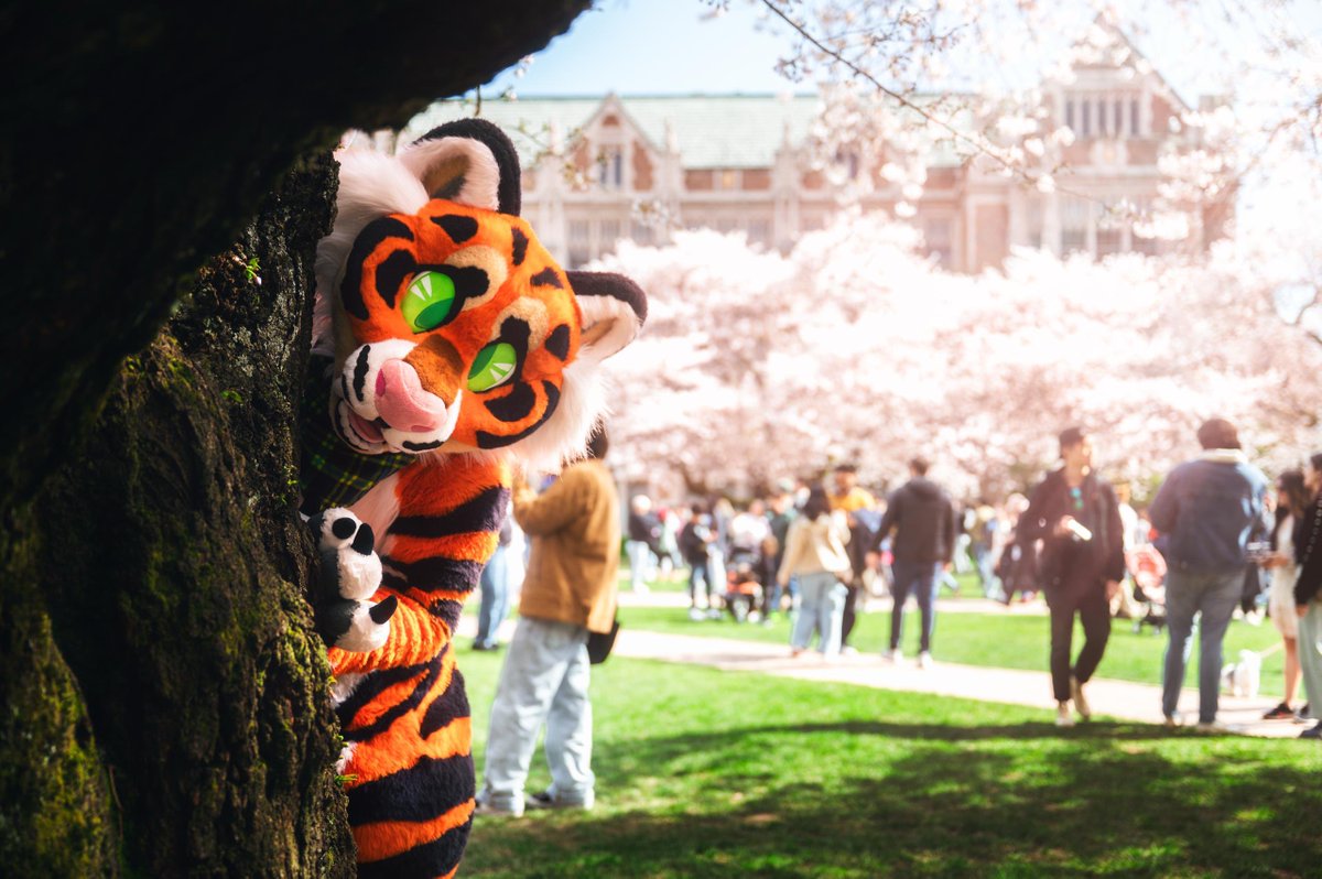 Atlas 🔜 LVFC tweet media