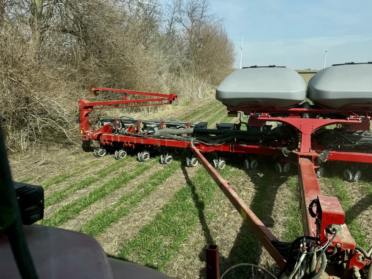 Shay Foulk tweet media