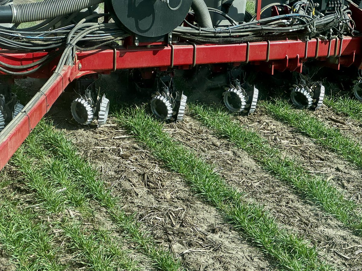 Shay Foulk tweet media