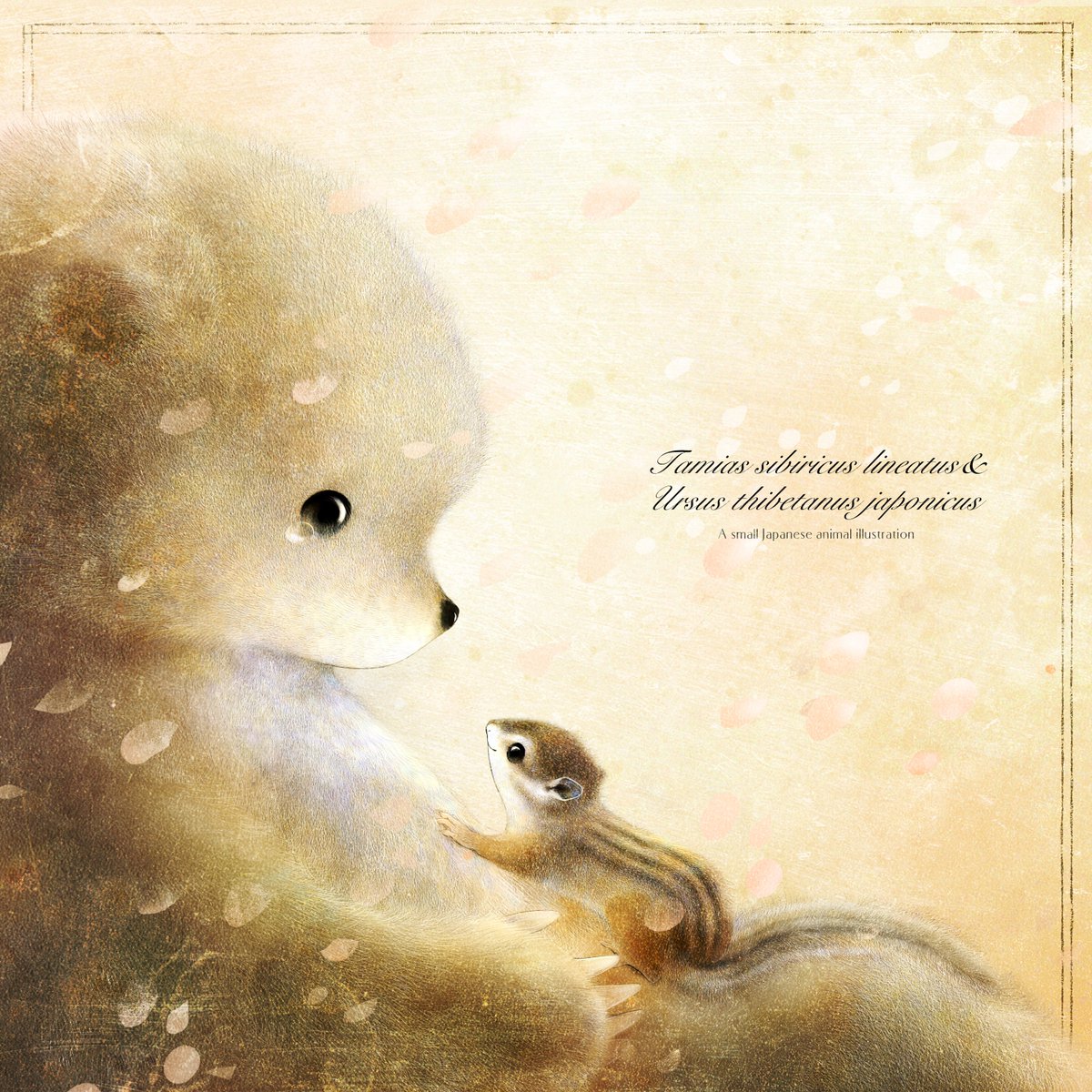 いぬい さえこ🐿️ tweet media