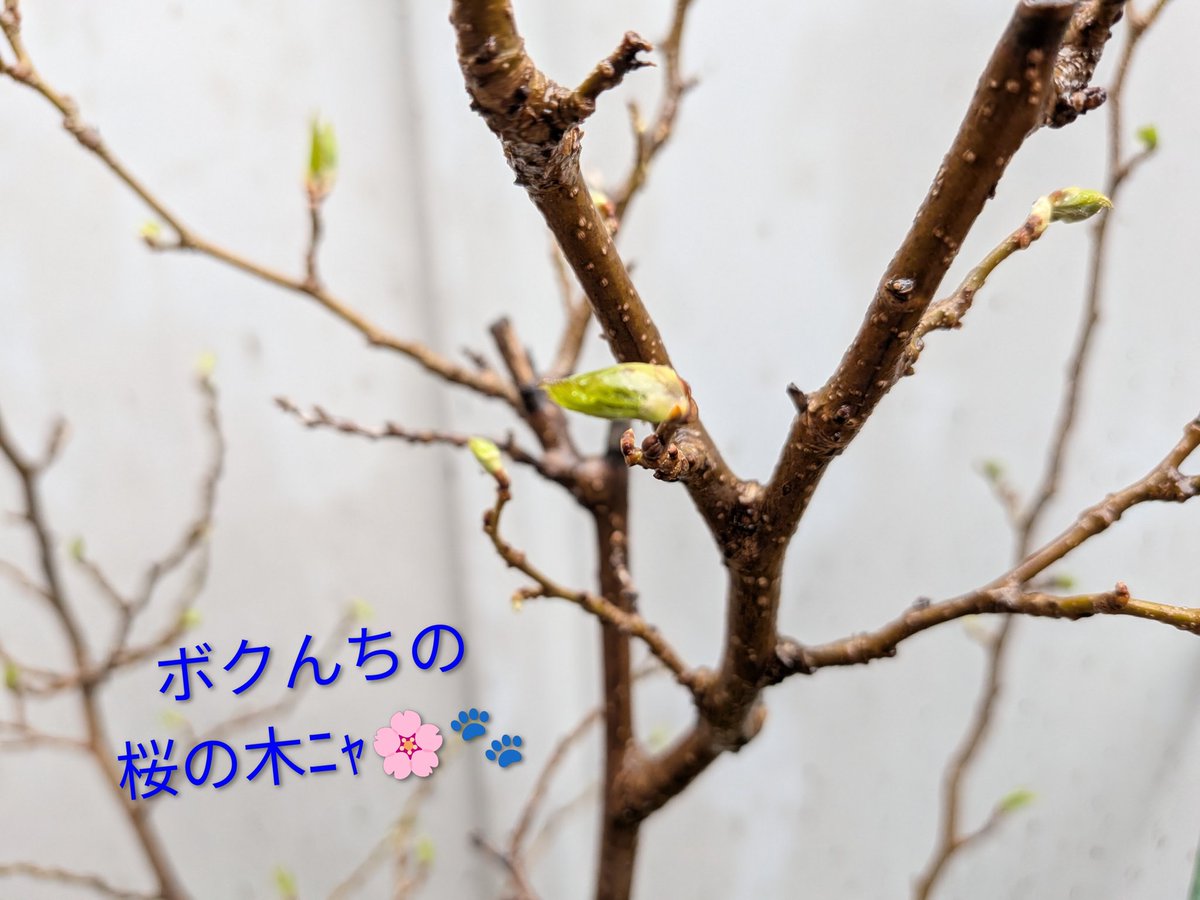 えびみ tweet media