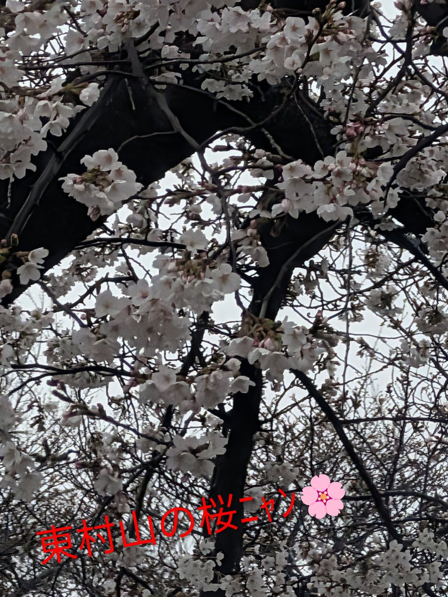 えびみ tweet media