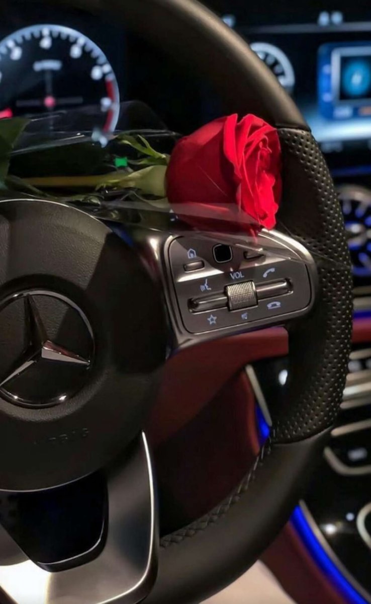 ♛ڊانـِِـِـية♛ tweet media