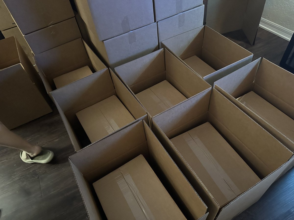 cats collectibles tcg tweet media