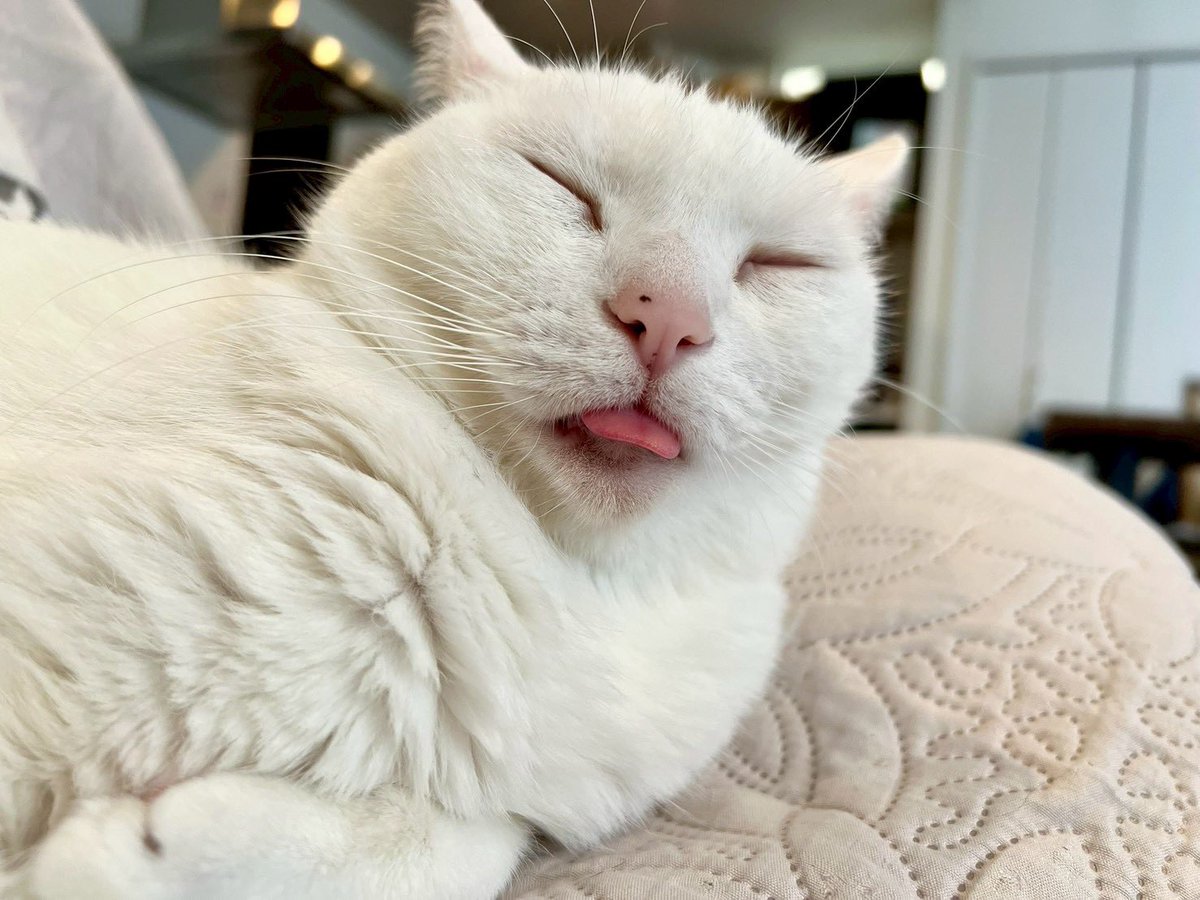 マックシステム株式会社 tweet media