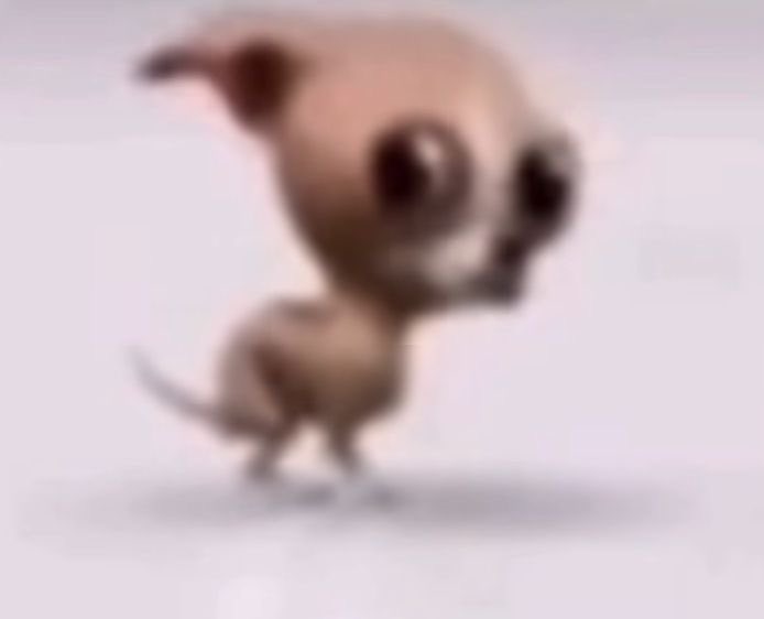 tofii | Enhypen is 7 tweet media