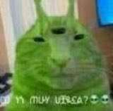 Soggy Bot tweet media