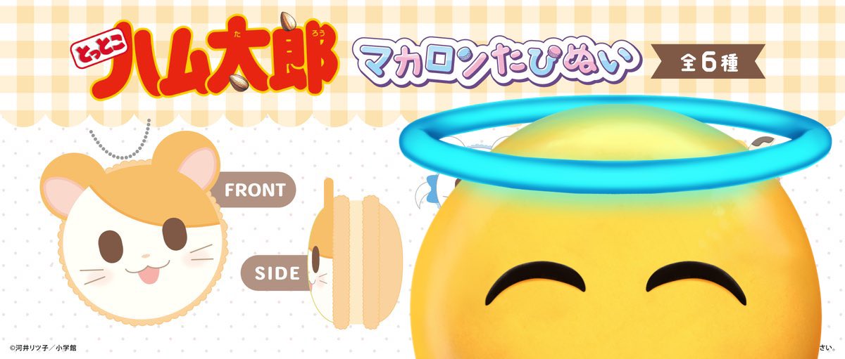 飛猫/固ツイ tweet media