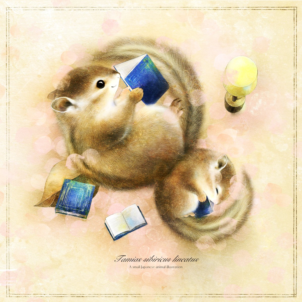 いぬい さえこ🐿️ tweet media