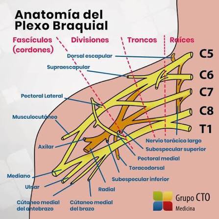 Krenz exiliada🇦🇷 tweet media