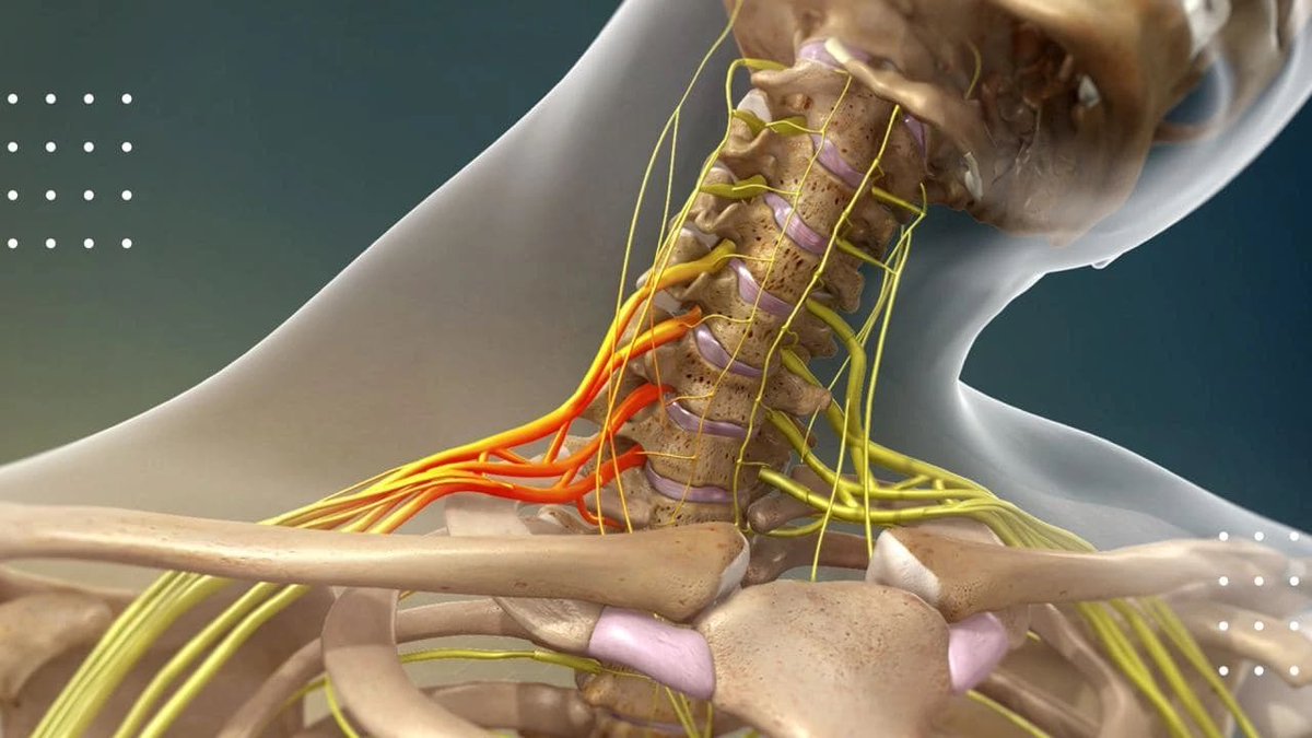 Krenz exiliada🇦🇷 tweet media