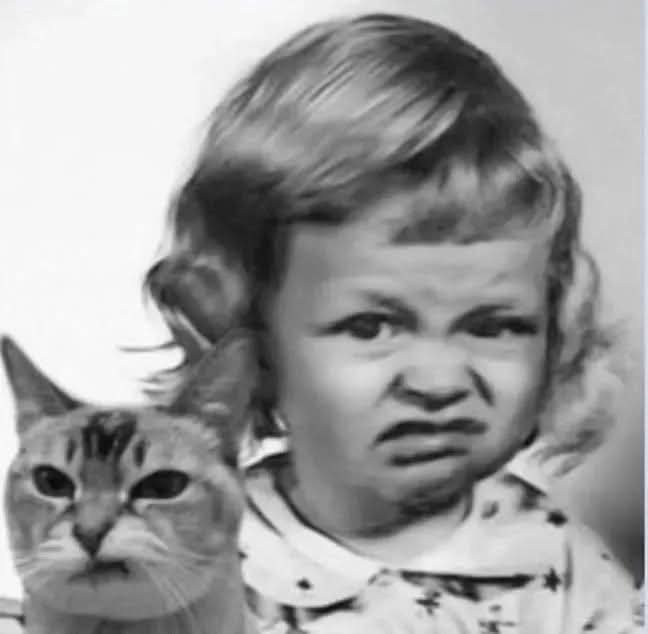 Blueberrie49456's tweet photo. @cuentadelgato https://t.co/wEEaaWjsYo