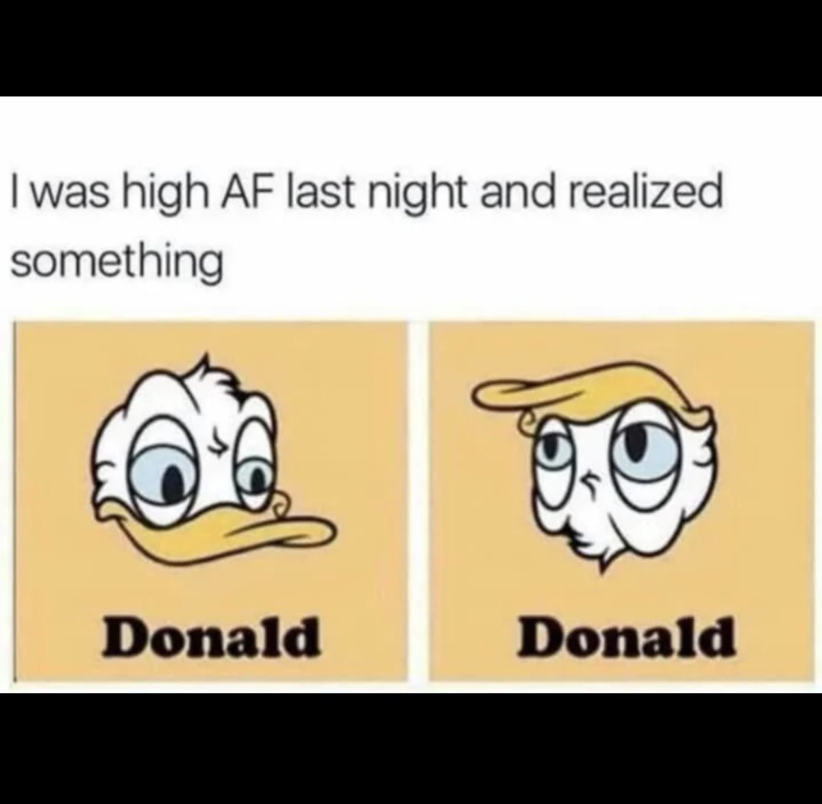 DanielDubs tweet media