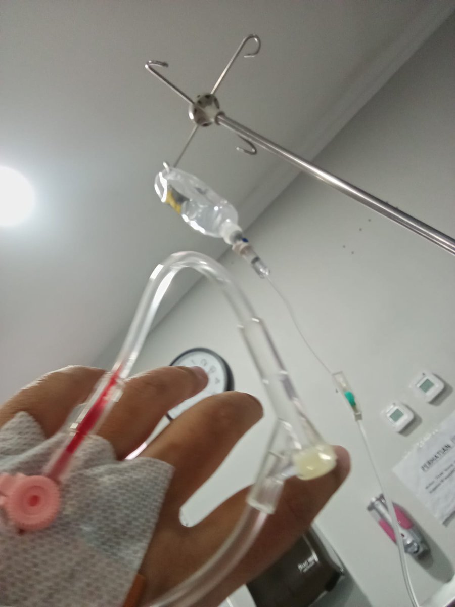 moek, rest. tweet media