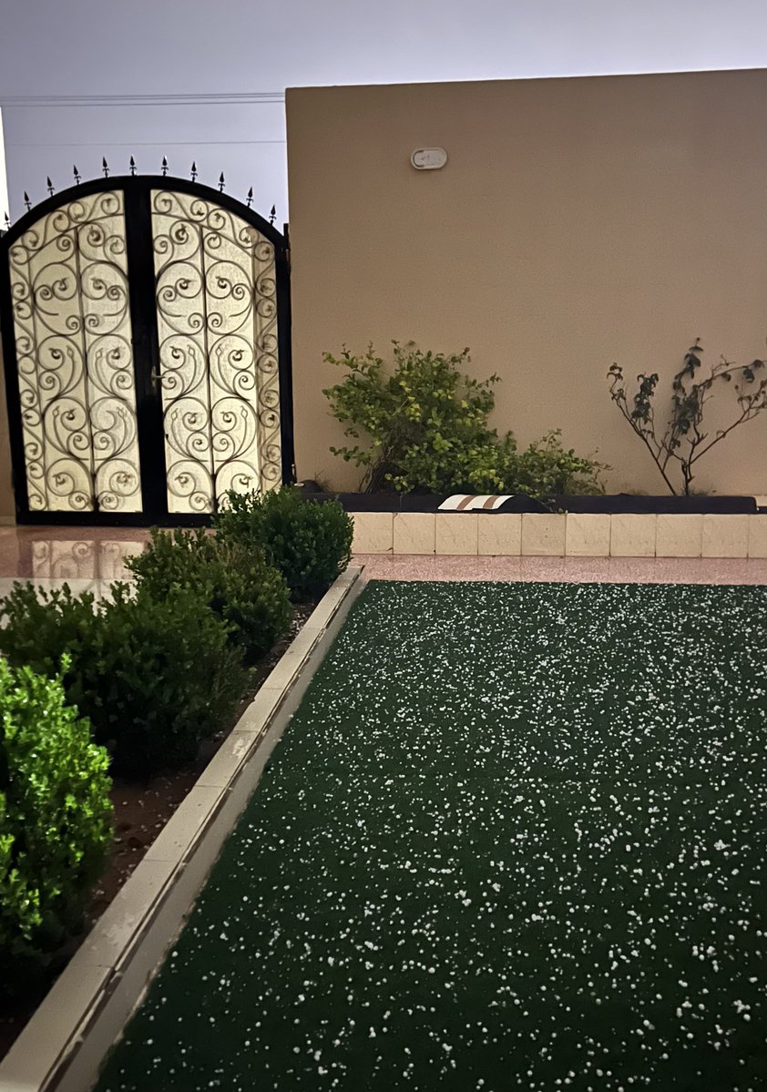 • 𝒄𝒍𝒂𝒊𝒓𝒐 tweet media