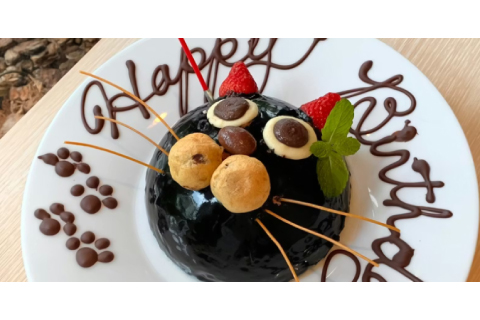 Osaka Point事務局【公式】 tweet media