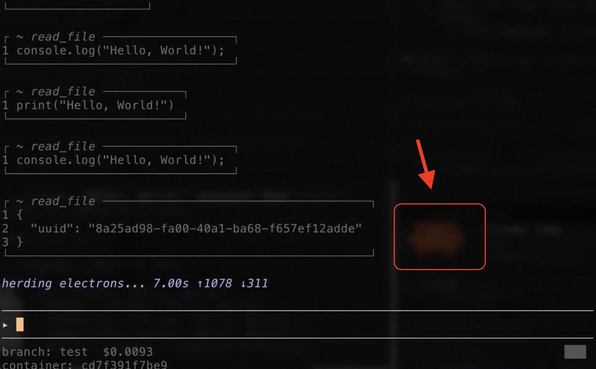 Adrian Duermael tweet media