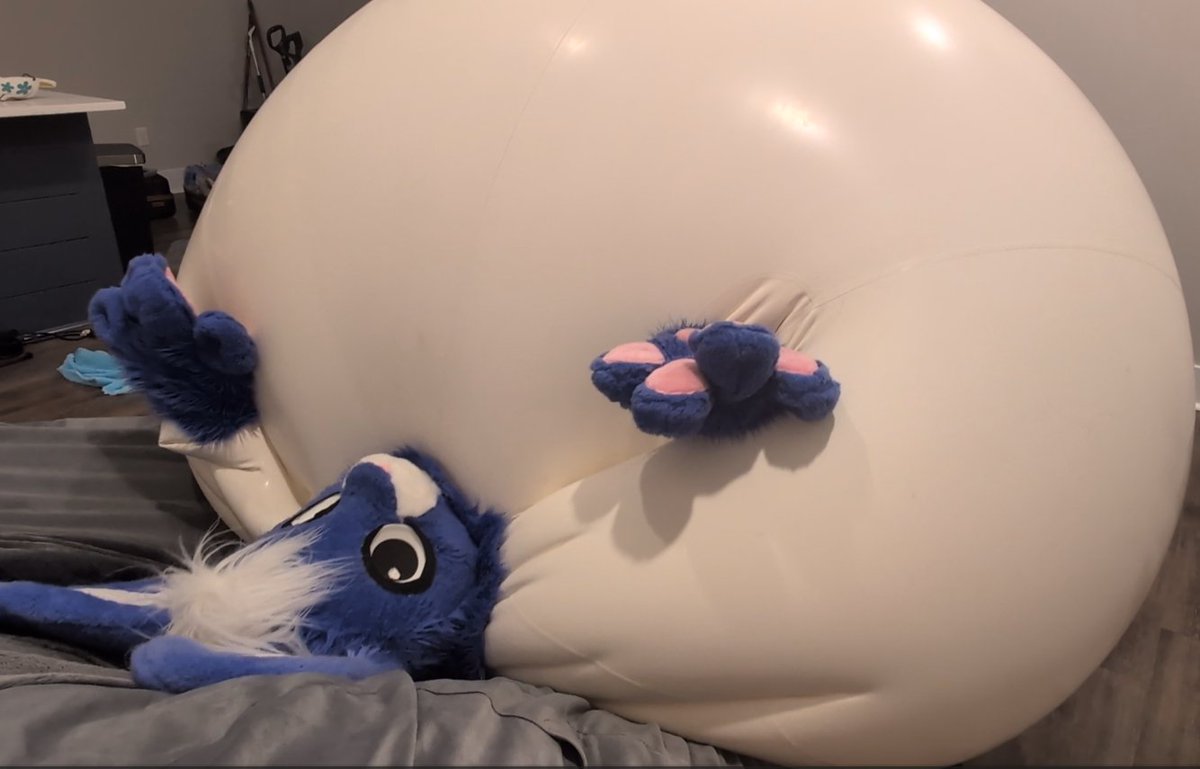 Toro 🥞 🔜 FWA tweet media