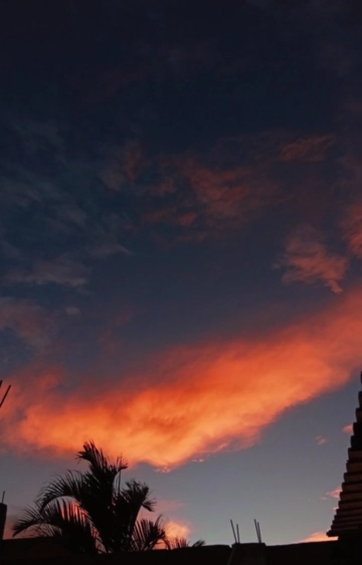 𝑩𝒐𝒏𝒊𝒕𝒂 ♡ tweet media