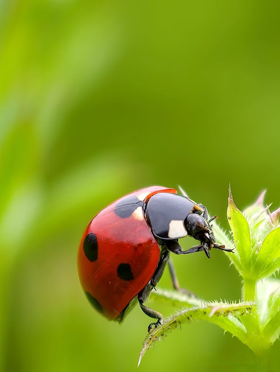 Abstract（互fo） tweet media