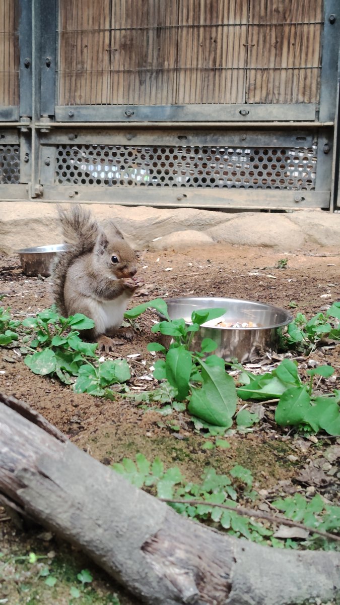 神戸市広報 tweet media