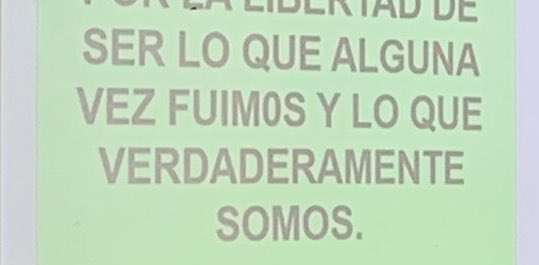 monse sin t tweet media