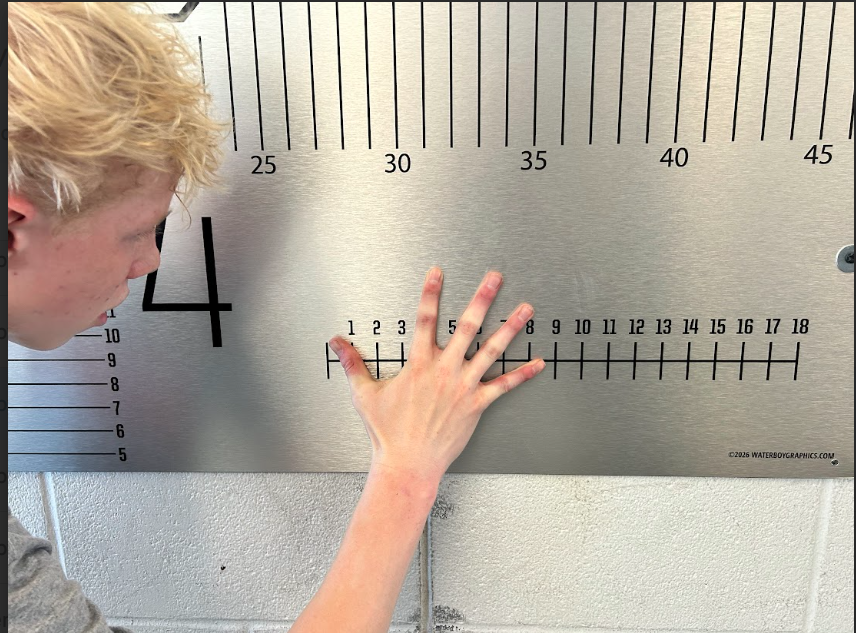 Nathan Mcpeek tweet media