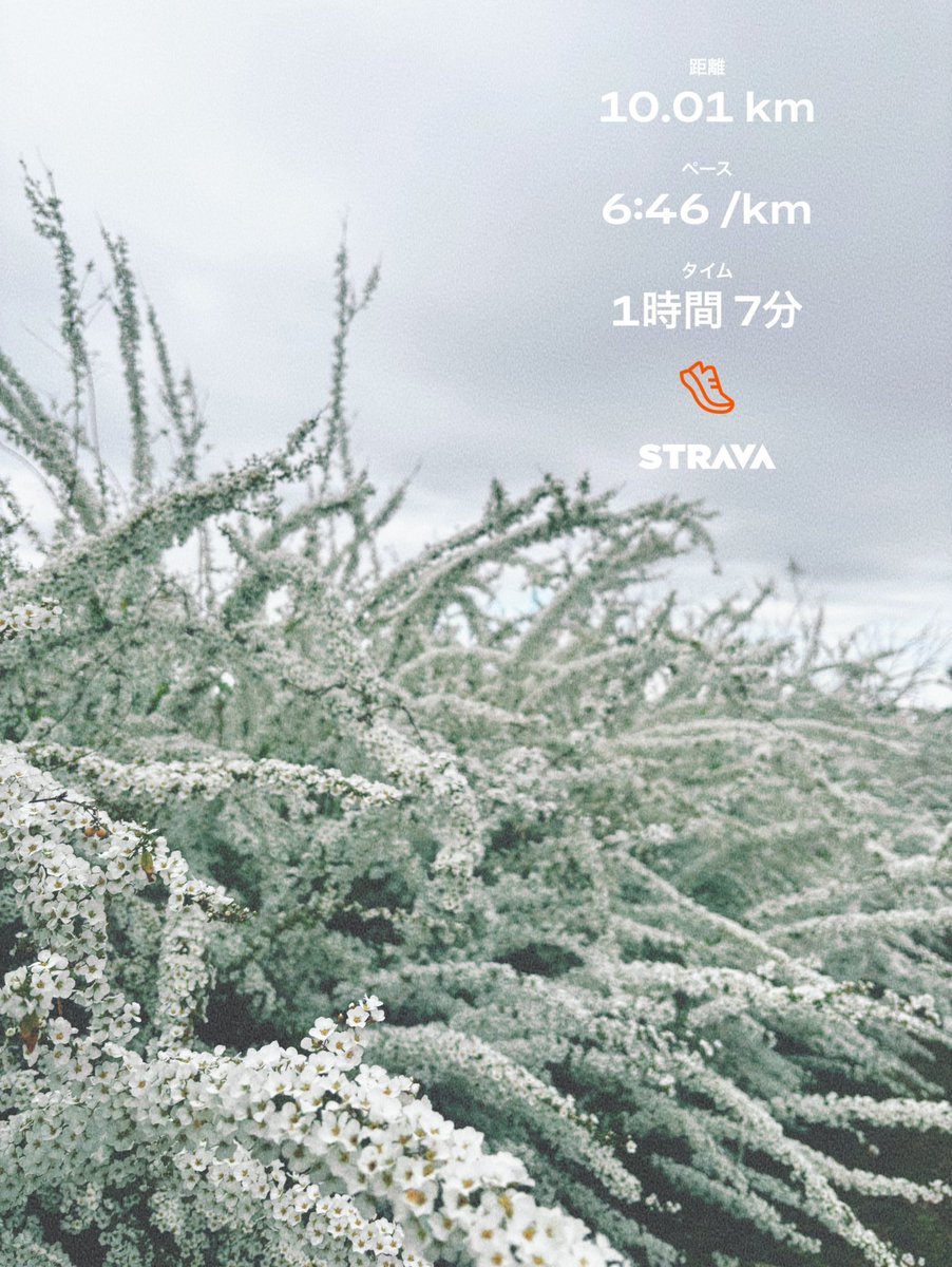 𝘾𝙝𝙖𝙘𝙤 @ 予定なし tweet media