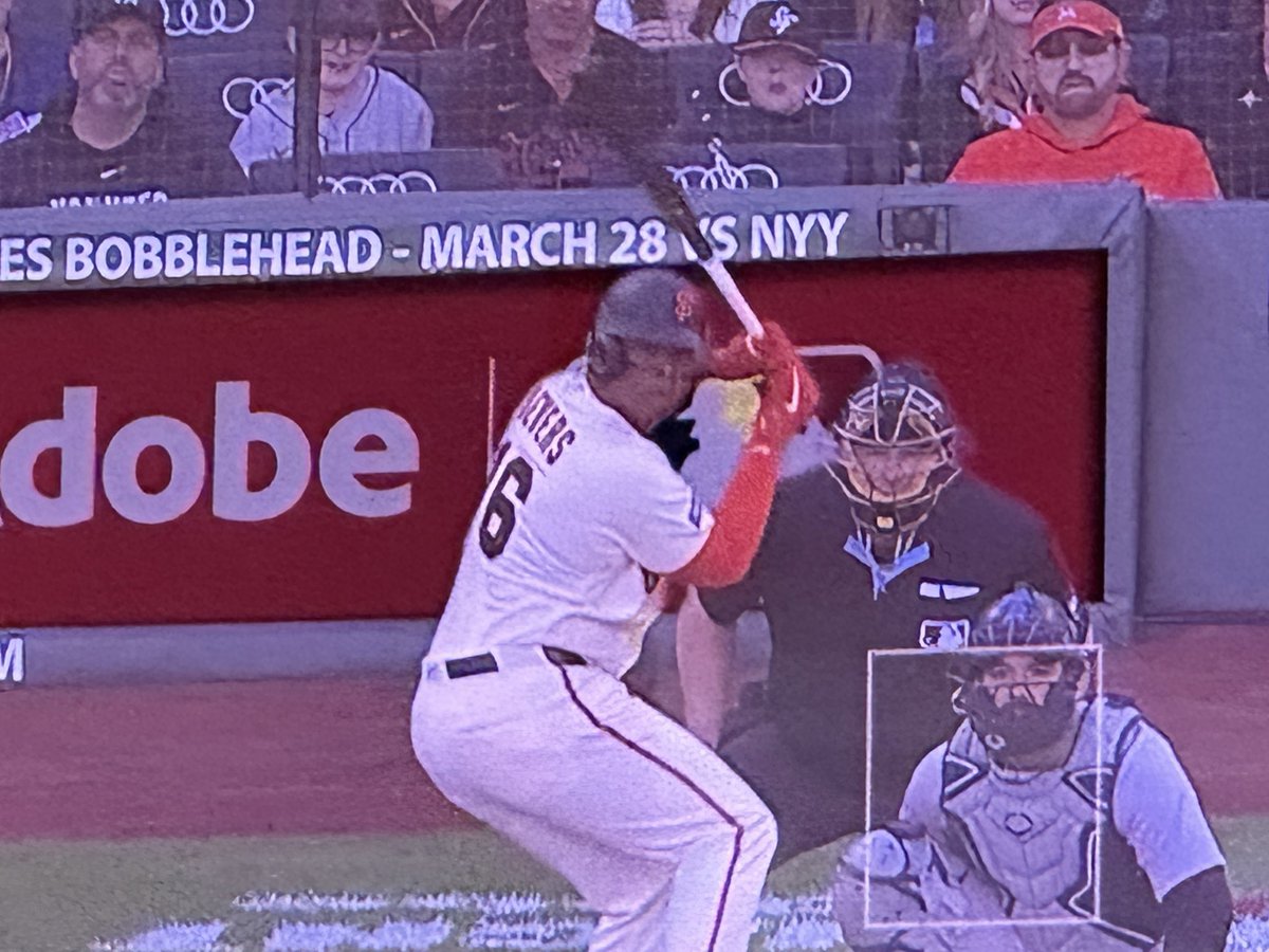 Oracle Park Seagull  tweet media