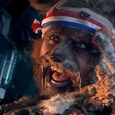 Rebirth Machine tweet media