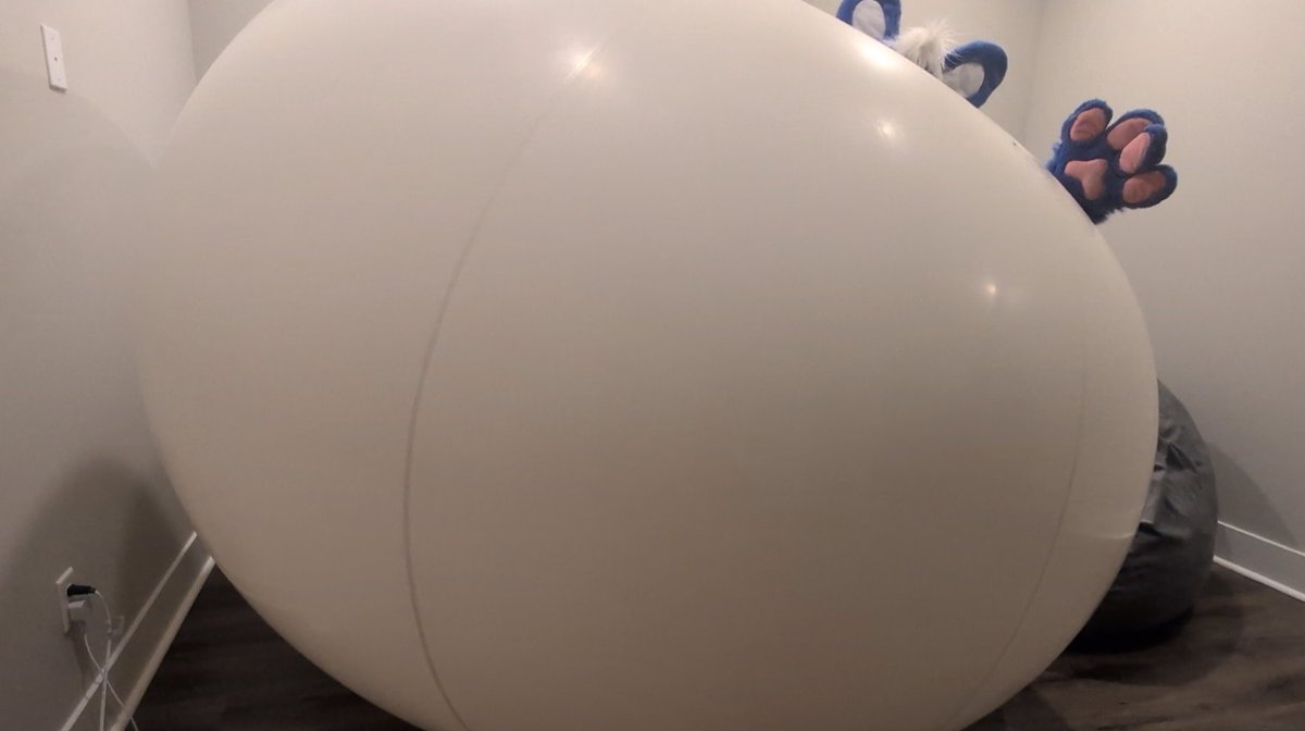 Toro 🥞 🔜 FWA tweet media