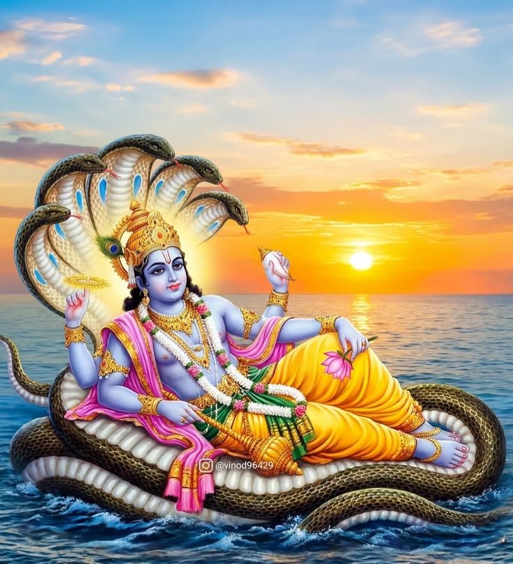 MANAV JANHIT VIKAS SANSTHA tweet media