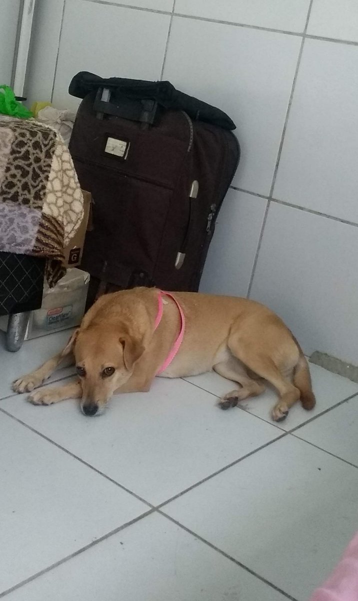 Oicrám Barros. tweet media