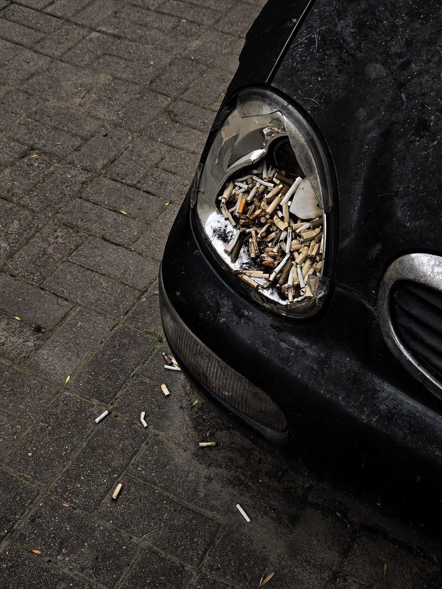 rare.jpg tweet media