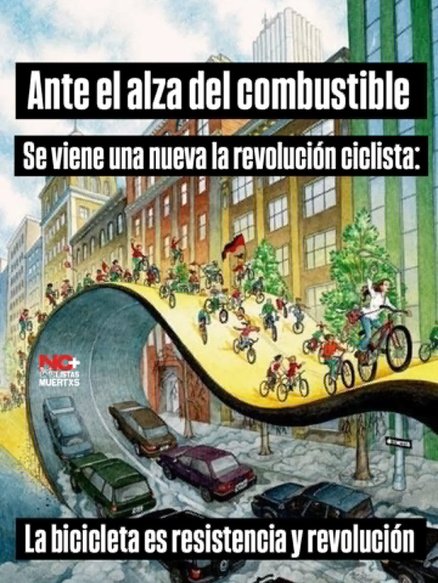 Lourdes Pérez Heras 🐴 tweet media