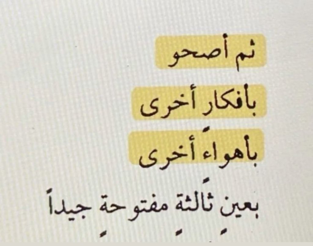 ☀︎ ‏ tweet media