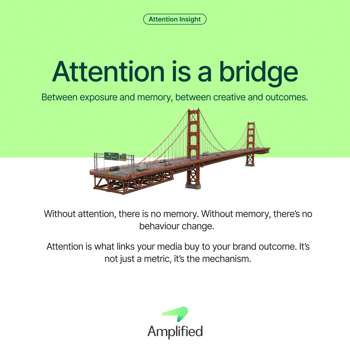 Amplified tweet media