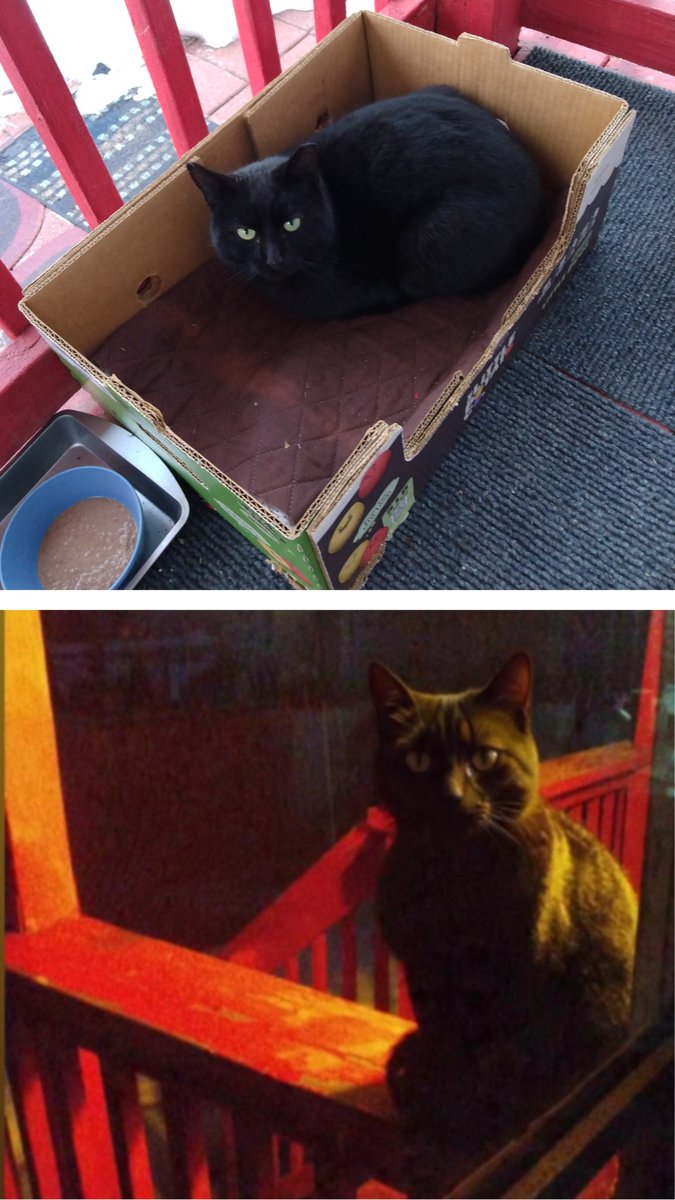 marcia thorne tweet media