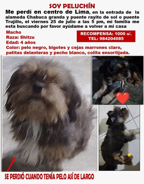 ArgenTowel tweet media