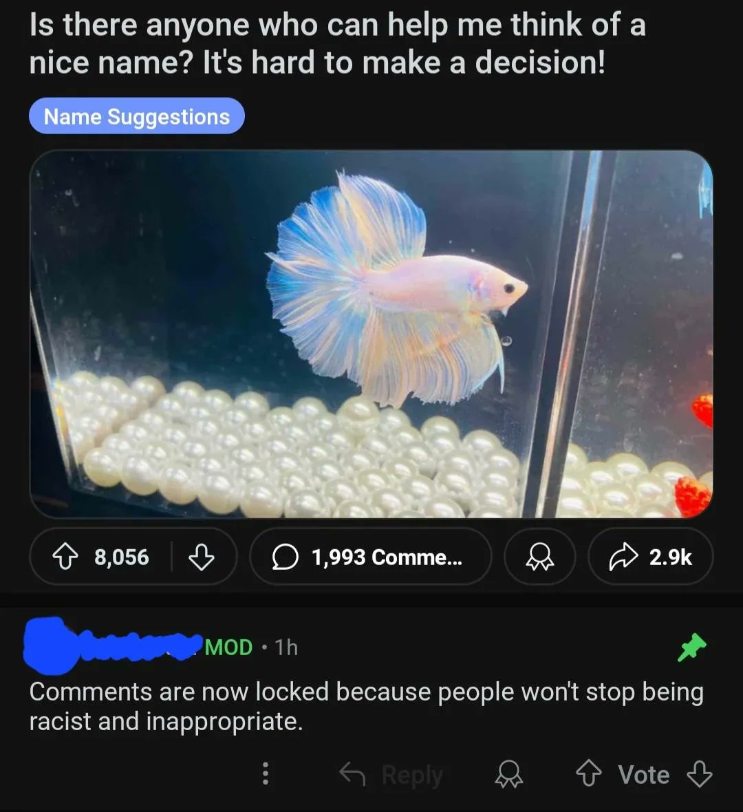 Images AI Could Never Recreate tweet media