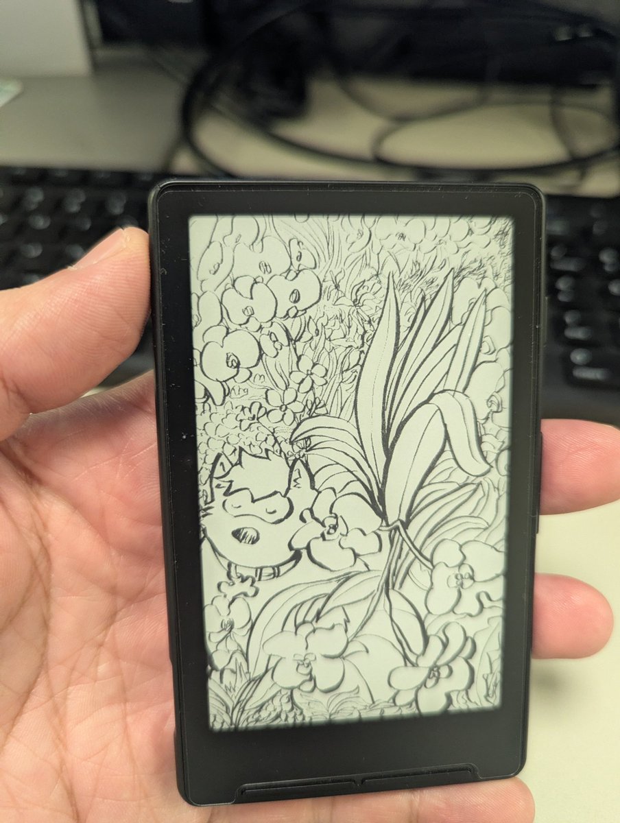 Mapache Pinto tweet media