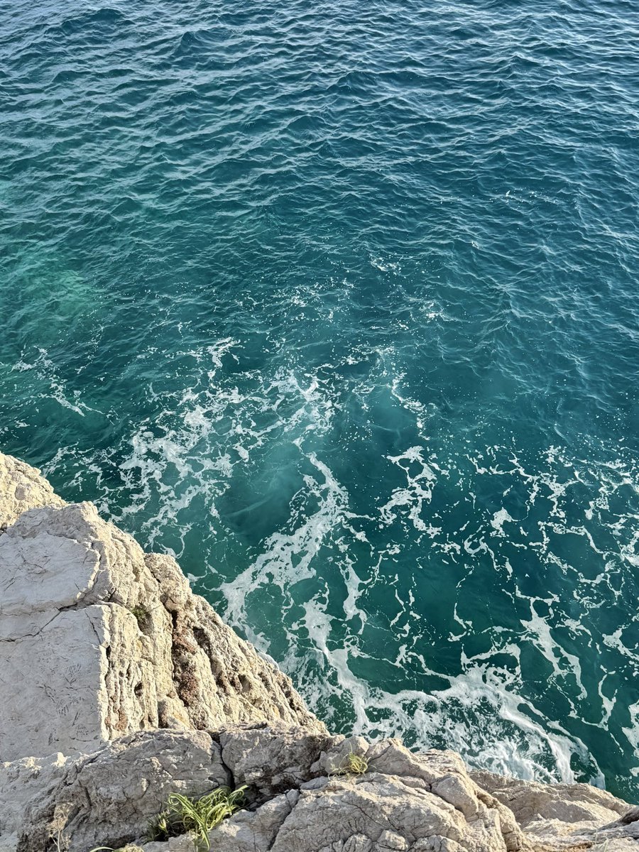 ксееееꒌ tweet media