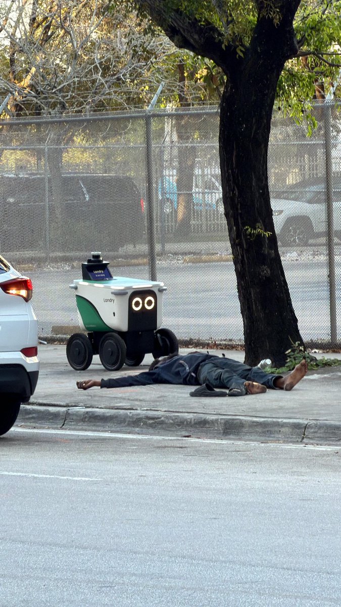 EMF 🇺🇸🇧🇷 tweet media