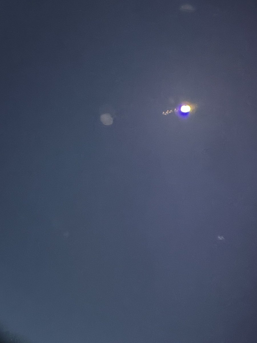 WarcrimeWaffles tweet media